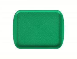 Поднос столовый 330х260 мм светло-зеленый – купить в RuOborudovanie.ru с доставкой до двери Купить поднос столовый 330х260 мм светло-зеленый – цена от завода, доставка до двери | RuOborudovanie.ru
